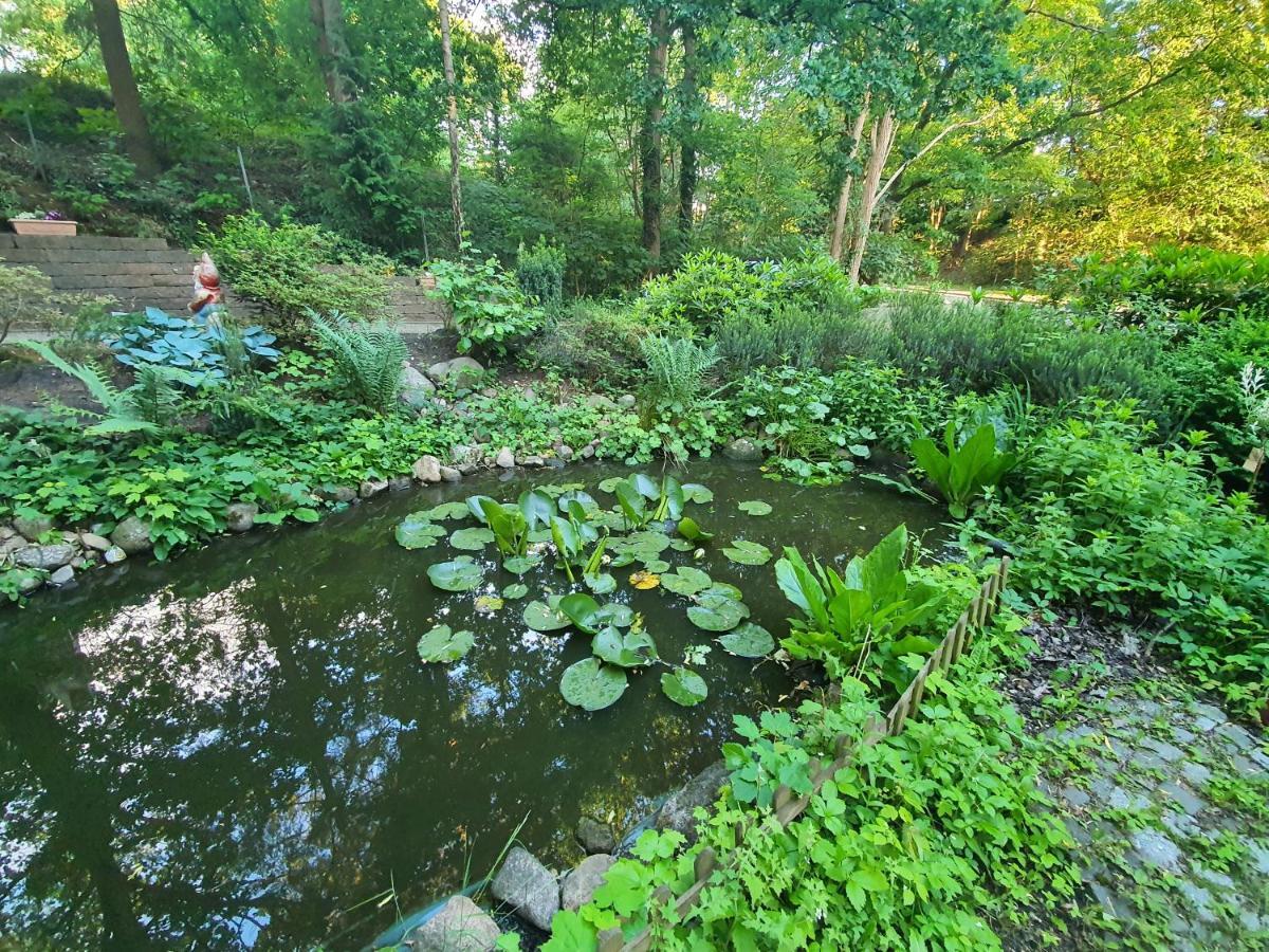 Apartment Bei Hamburg Bis 10 Personen Mit Terasse Und Gartennutzung. Buchholz in der Nordheide Exterior photo